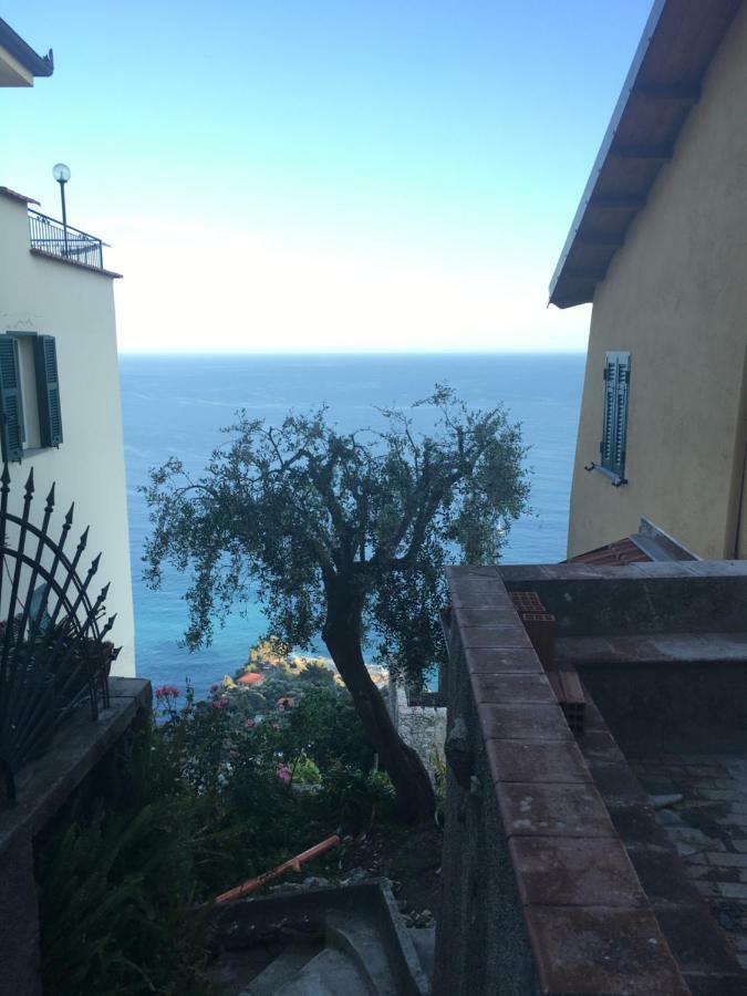 House In Grimaldi. Spectacular View Over The French Riviera! Grimaldi  Dış mekan fotoğraf